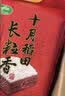 十月稻田 长粒香大米 10斤（东北大米 香米 5kg/公斤） 实拍图