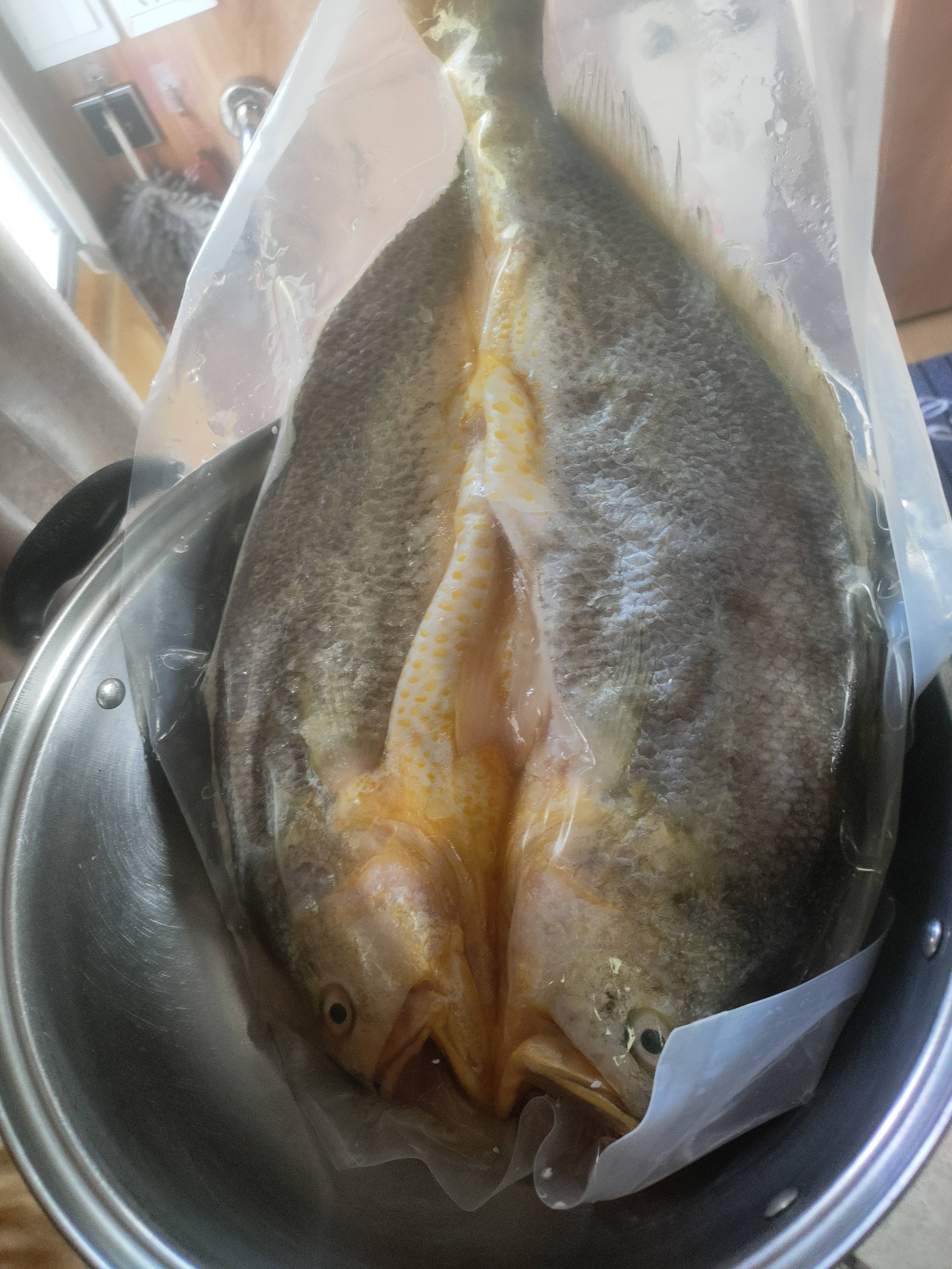 黄小渔宁德三去开背大黄鱼净重800g/条 黄花鱼生鲜鱼类海鱼海鲜烧烤中秋 实拍图