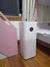 米家小米空气净化器5S  家用除甲醛除菌除过敏AC-M24-SC 实拍图