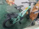 PHILLIPS山地车青少年自行车男女孩学生18-22寸变速山地车黄绿24速20寸 实拍图