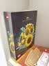 乐高（LEGO）积木11502 心动的信号同款向日葵花束男女孩玩具生日礼物 实拍图