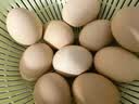 京鲜生 无抗保洁鲜鸡蛋30枚/盒 健康轻食 礼盒送礼 1.5kg/盒 源头直发 实拍图