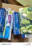 云南白药京东试用牙膏旅行便携3件套黄金搭配益优薄荷牙膏45g+牙刷+旅行袋 实拍图