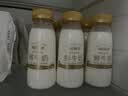 每日鲜语鲜牛奶 3.6g全脂211ml*6 家庭必备 巴氏杀菌乳 低温奶 实拍图
