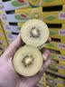 佳沛（zespri）新西兰金奇异果12粒特大果124-146g猕猴桃中秋节礼品送水果礼盒 实拍图