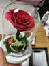 RoseBox生日礼物永生花小王子玫瑰花结婚纪念日新婚送女朋友新娘高级实用 实拍图