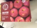 京鲜生烟台红富士苹果净重5斤/12粒单果190-240g生鲜水果 实拍图