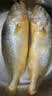 三都港 冷冻黄花鱼700g/2条装 大黄鱼深海鱼 生鲜鱼类 海鲜水产中秋礼品 实拍图