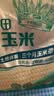 十月稻田 黄糯玉米 8根 3.52斤 真空包装 东北甜粘玉米棒 低脂早餐 实拍图
