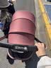 elittle逸乐途婴儿车0-3岁用折叠可坐可躺减震高景观遛娃神器EMU欧版全篷落英绯 实拍图
