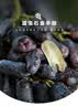 京鲜生 云南蓝宝石葡萄 金手指无籽黑提 尝鲜装2-2.5斤 易掉粒 生鲜水果 实拍图