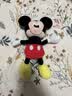 迪士尼（Disney）毛绒玩具米老鼠公仔安抚玩偶抱枕摆件布娃娃生日礼物送女生 米妮 实拍图