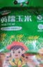 华田禾邦东北黄糯玉米3.52~4斤（220g*8根）新鲜甜黏玉米粒 早餐苞米 实拍图