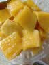 芒果金煌芒水仙玉芒果青皮大芒果甜心芒新鲜水果次日达送礼广西 【东东农场专供】净重5斤装【很划算】 甄选特级果【单果250g+】 实拍图