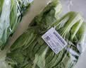上海青约500g(油菜) 实拍图