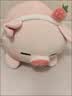 名创优品（MINISO）小猪B-BO草莓猪玩偶毛绒公仔娃娃抱枕靠枕女孩生日礼物玩具送闺蜜 实拍图