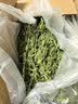 BCM烘干紫花苜蓿草 幼兔兔粮 干草兔子牧草龙猫荷兰猪磨牙饲料750g 实拍图