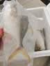环球水产南海金鲳鱼净重700g/2条BAP认证深海鱼类海鲜家庭聚餐 实拍图