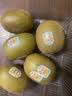 佳沛（zespri）新西兰金奇异果18粒优选果103-124g猕猴桃中秋节礼品送水果礼盒 实拍图