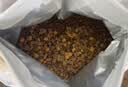 领先生骨肉狗主食罐狗罐头成幼犬全价狗粮湿粮375g*24(新老款随机发） 实拍图