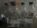 依云（evian）法国原装进口天然矿泉水500mlx24瓶(软瓶)饮用水新老包装随机发货 实拍图