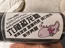 Murcia六角恐龙鱼饲料鱼食高蛋白清道夫娃娃鱼养殖鱼专用下沉型宠物饲料 晒单实拍图