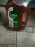滴露（Dettol）消毒液洗衣衣物消毒水750mL 除螨杀菌混洗无忧 家居地板消毒 非84 实拍图