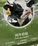 京东京造纯牛奶粉1kg 高钙高蛋白成人中老年学生奶粉A2β-酪蛋白 中秋送礼 实拍图