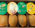 佳沛（zespri）新西兰金奇异果8粒超大果175-204g猕猴桃中秋节礼品送水果礼盒 实拍图