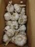 京鲜生河南杞县大蒜 带皮新鲜 干蒜净重3斤单果5.5-6cm 源头直发 实拍图