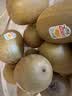 佳沛（zespri）新西兰金奇异果12粒特大果124-146g猕猴桃中秋节礼品送水果礼盒 实拍图