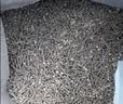 维利亚 豆腐猫砂除臭混合猫沙除味低尘吸水易结团 【混合猫砂】2.35kg*8袋 实拍图