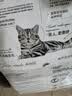 皇家美短成猫粮 ASA31 通用粮 12月以上 10KG 实拍图
