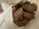 老农夫 新鲜现挖正宗临安天目山小香薯品种烤红薯干小番薯板栗薯2022年地瓜健康轻食生鲜 特大果2.5kg装 晒单实拍图