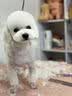 比瑞吉狗粮鸭肉瓜6冻干幼成老年小型犬小绿袋比熊清热解火犬粮2kg 实拍图