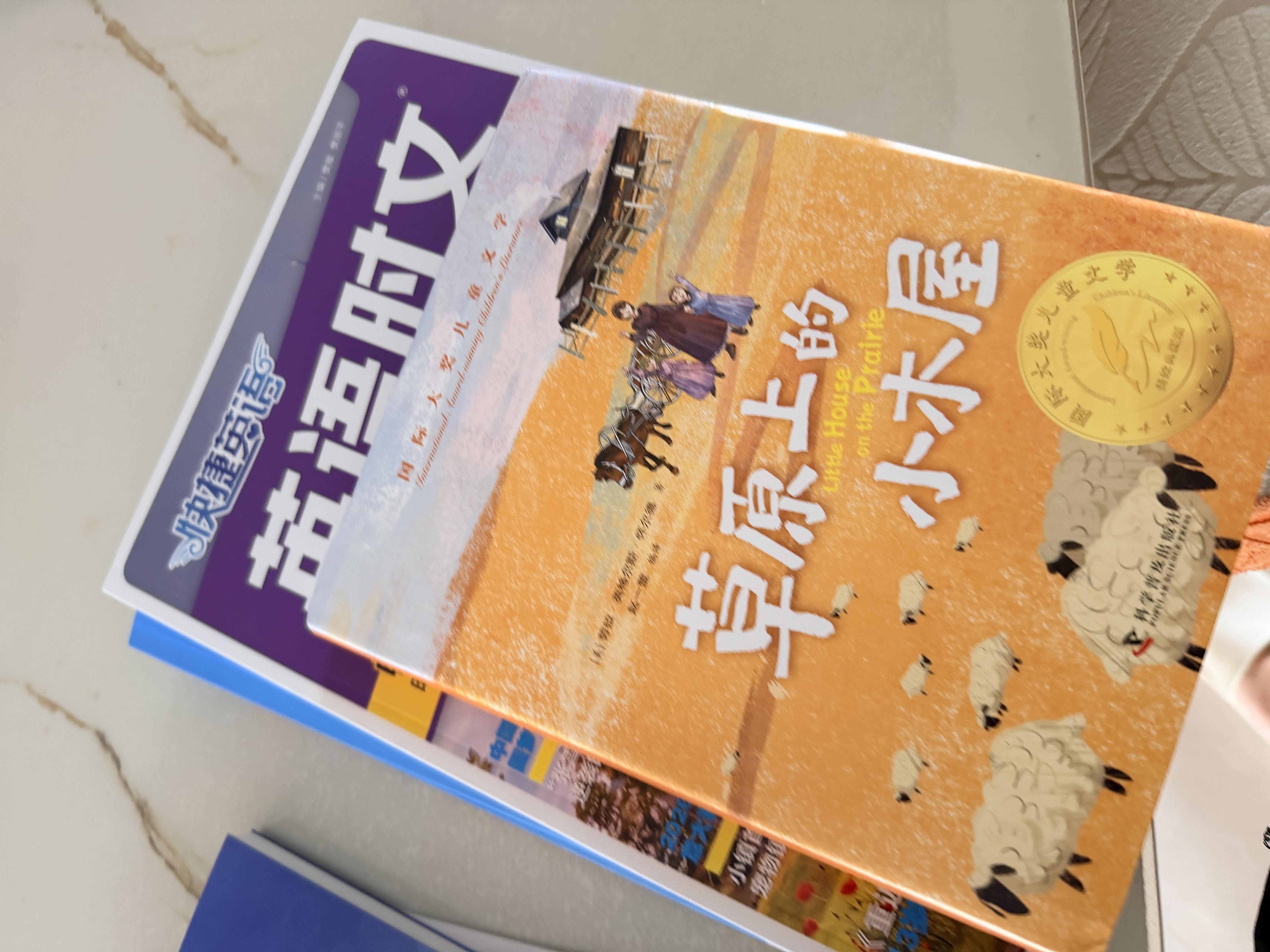 2026新版 总有一天会长大（夏洛书屋·经典版）梅子涵推荐 经典童话故事青少年中小学生课外读物 上海译文出版社 正版 暑期阅读 课外推荐 实拍图