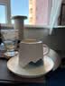 Nespresso奈斯派索胶囊式咖啡机小型家用全自动商用办公室小巧便携高压萃取意式进口两种杯量选择雀巢咖啡 【明星推荐】C30哑光米白色及意式浓烈5条 实拍图