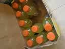 百事可乐佳得乐 GATORADE 补充电解质 运动饮料柠檬味600ml*15 整箱装 实拍图