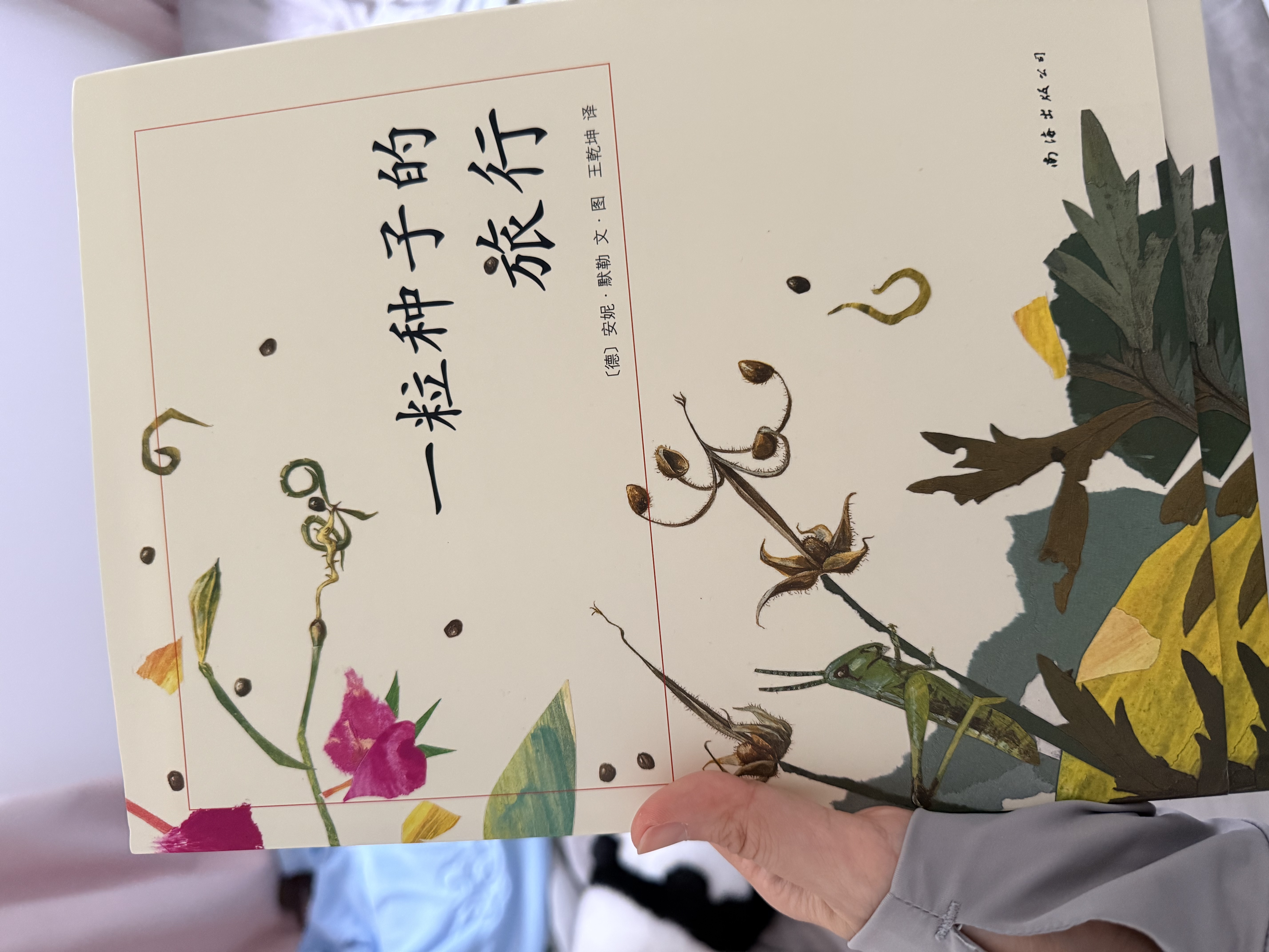 【全新正版书 京仓配送】一粒种子的旅行 （精装版）自然科普绘本 小 晒单实拍图