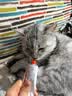 红狗 化毛膏58g+猫草片200片 化毛膏猫咪猫咪维生素猫咪维生素b 实拍图