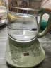 康佳（KONKA）养生壶 煮茶器 1.8L家用玻璃保温开水烧水壶电热水壶 迷你玻璃煮茶壶 恒温壶KHK-1809(st) 实拍图