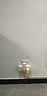 公牛插座转换器一转二扩展器多用多功能插座板转换器三孔一拖三家用插头多项电源转接头 【限量促消款】分控开关 可插3个电器 实拍图