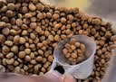 皇家猫粮 绝育成猫粮 SA37通用粮1-7岁4.5KG 实拍图