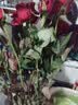 百合鲜切花云南基地直发瓶插水养七夕情人节礼物 爱人暖心礼物 随机香水百合6-8朵 实拍图