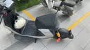 九号（Ninebot）【新国标电自】九号电动 Mz1 30 日常通勤代步9号电瓶车【门店自提】 到门店选颜色 晒单实拍图