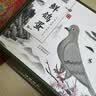 均鲜（junxian）新鲜大个鸽子蛋30枚礼盒650g杂粮喂养双母鸽蛋源头直发 实拍图