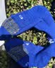 卡尔美（KELME）长筒足球袜防滑纱厚底高筒专业足球比赛训练精英运动袜 彩蓝 M 实拍图