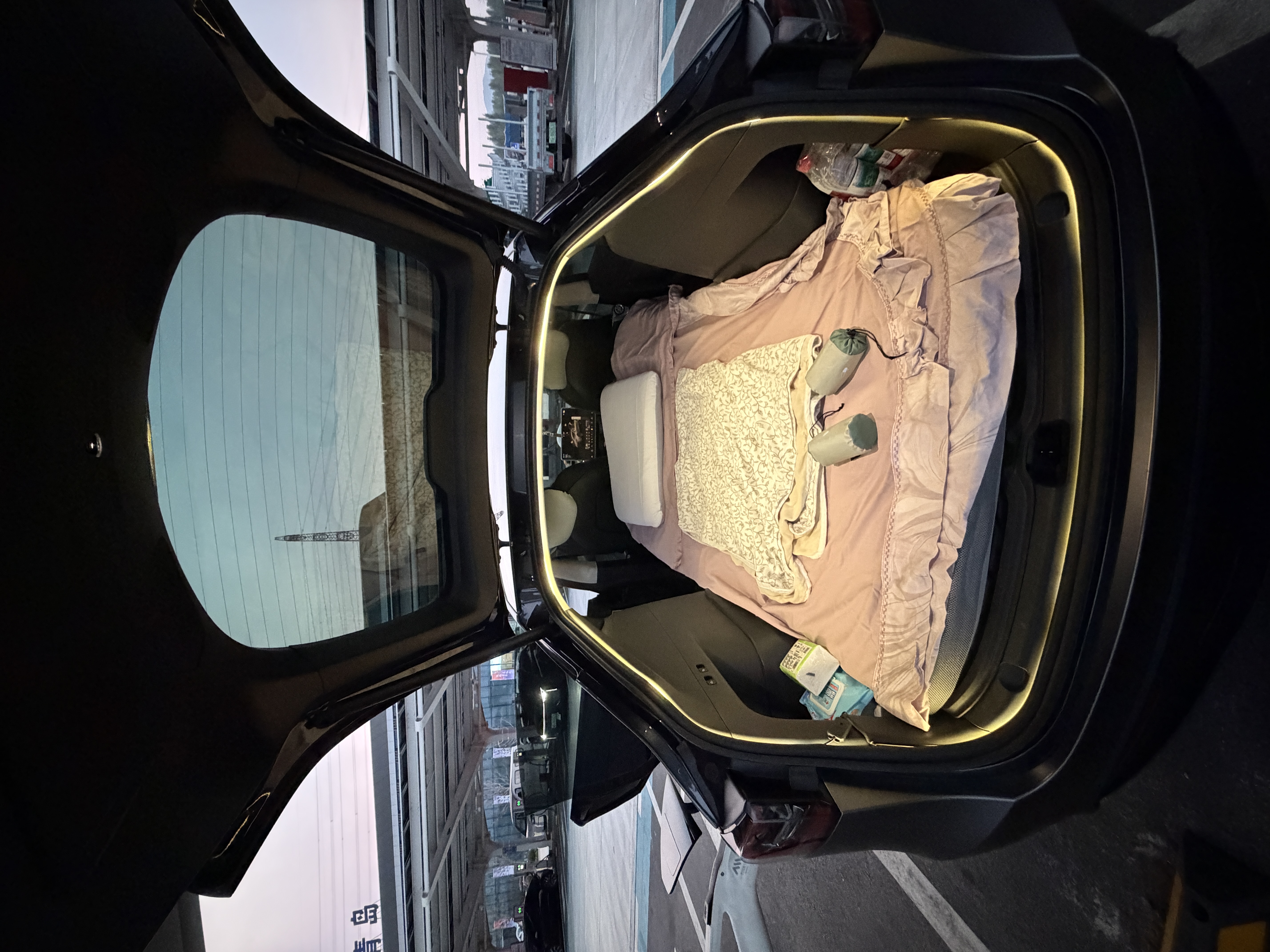 特麦适用于特斯拉ModelY 焕新版露营车载床垫后排记忆棉单双人睡觉垫 【保护隐私】床垫pro版+侧窗隐私帘 实拍图