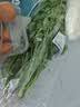 带根香菜100g 实拍图