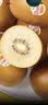 佳沛（zespri）新西兰阳光金奇异果6粒装88-103g猕猴桃水果中秋节礼品送水果礼盒 实拍图